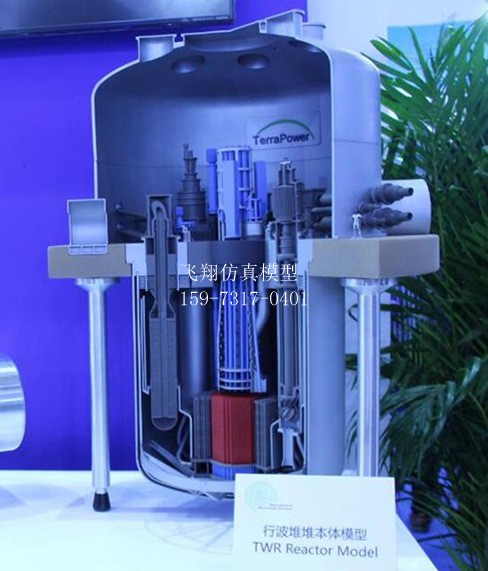 行波堆堆本體模型